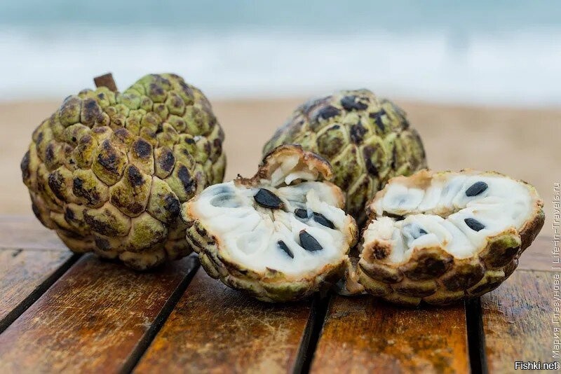 Советую обязательно попробовать.