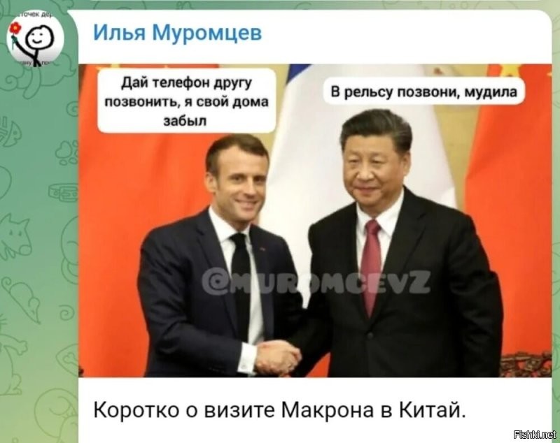 А где-то плачет маленький лягушатник...