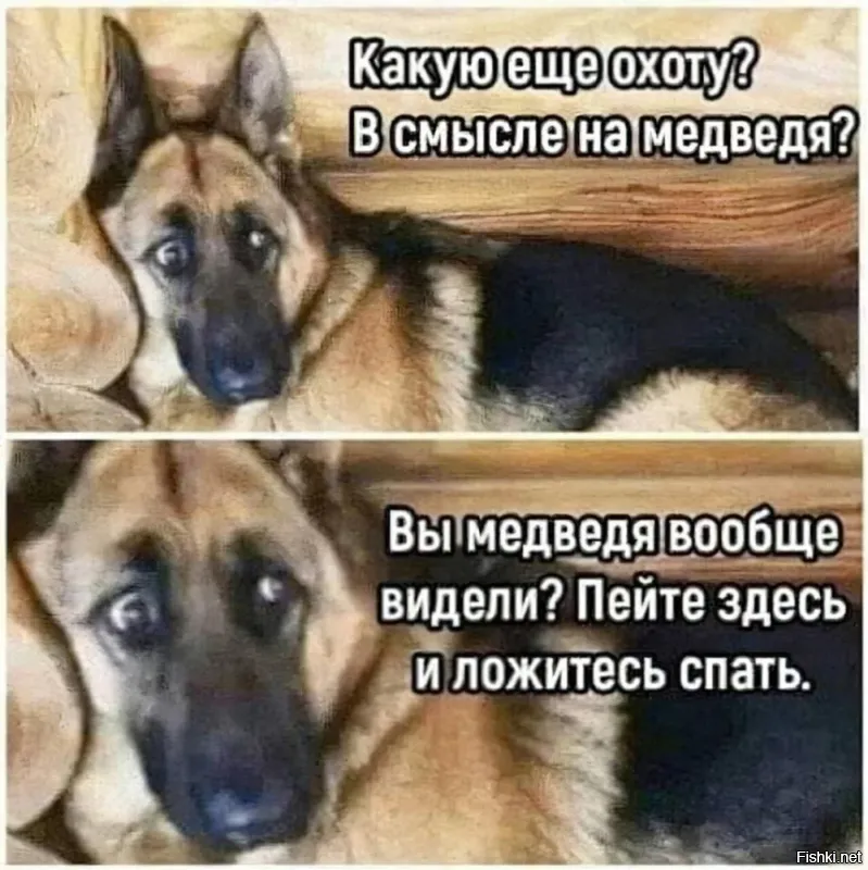 Ну дык, у больших собаков и мозыг крупнее! Соображают лучше.