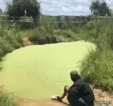 Просто гифки, всякие и&nbsp;разные