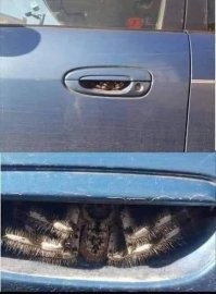 Что-то BYD SEAL напоминает.
И ручки дверные отстойные ИМХО. Живность там прятаться будет.