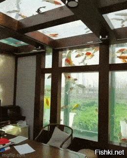 Котеек сюда пускать опасно.....