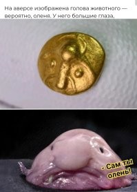 В Лейпциге обнаружена древнейшая золотая монета Саксонии