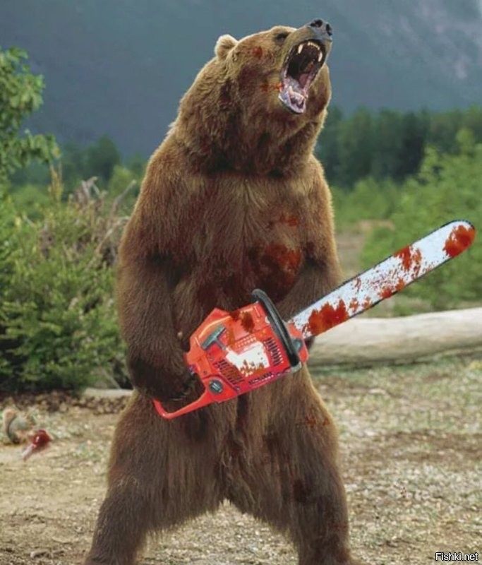 Безумие в прямом эфире: мужчина залез в берлогу спящей медведицы