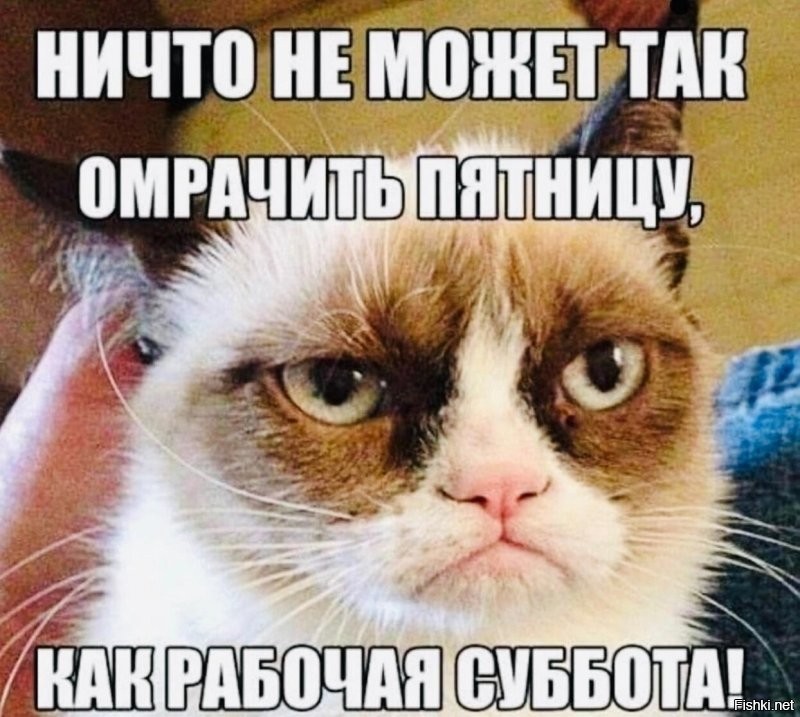 Солянка от 30.10.2025