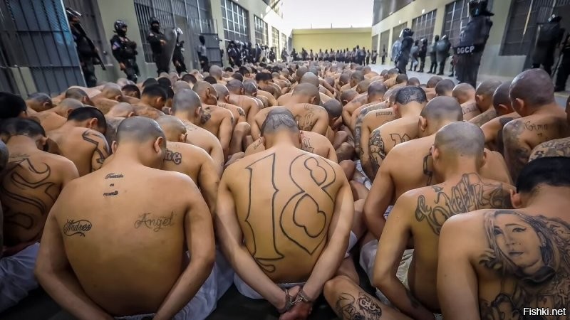 у латиносов своя атмосфера в их странах. но всех членов картелей ждёт либо это как на видео, либо как на фото. там пожизненное у всех.