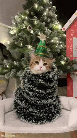 Если вы переживаете, что кот опрокинет ёлку - сделайте ёлкой самого кота )