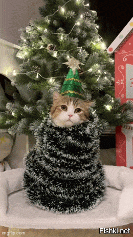 Если вы переживаете, что кот опрокинет ёлку - сделайте ёлкой самого кота )