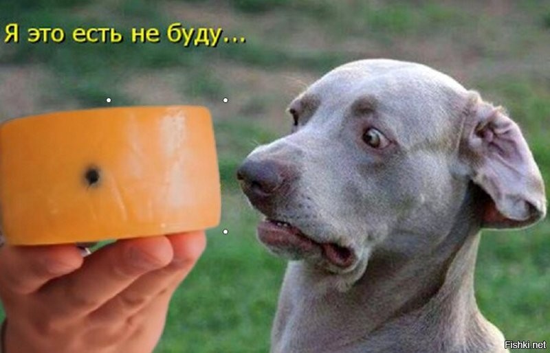 В Бразилии свои деликатесы