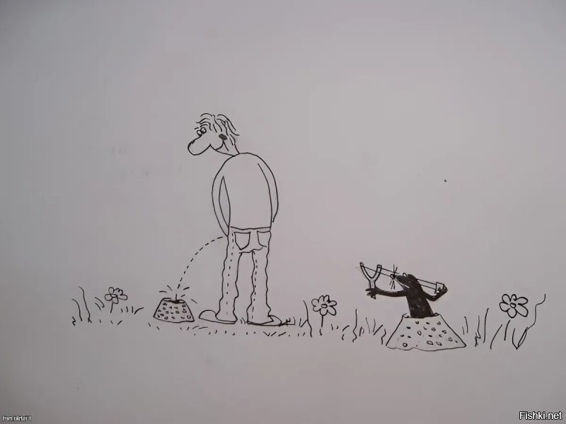 Солянка от 31.10.2025