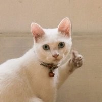 Такие новости нам надо !