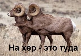 Таджикистан хочет увеличить количество своих детей в российских школах