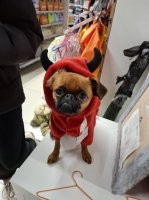 Мой П_и_zдюк ))