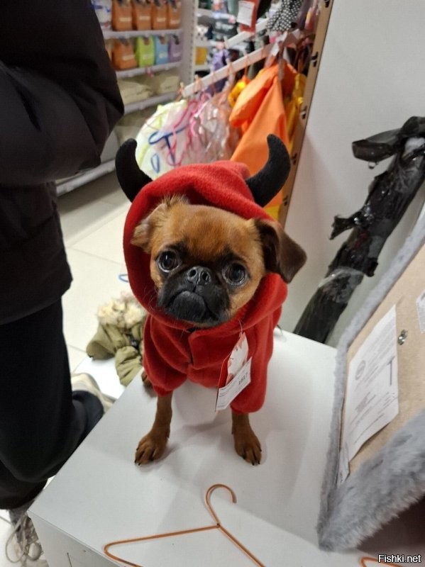 Мой П_и_zдюк ))