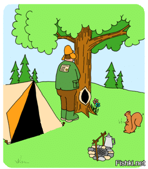 Солянка от 31.10.2025