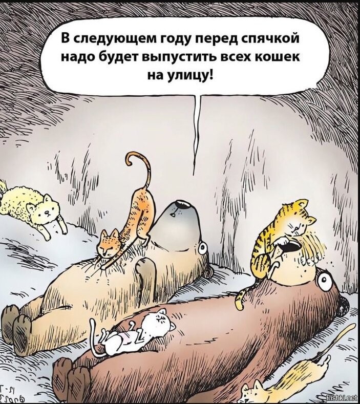 Ёж готовится к зимней спячке