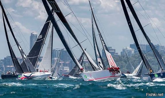 Они в разных галсах