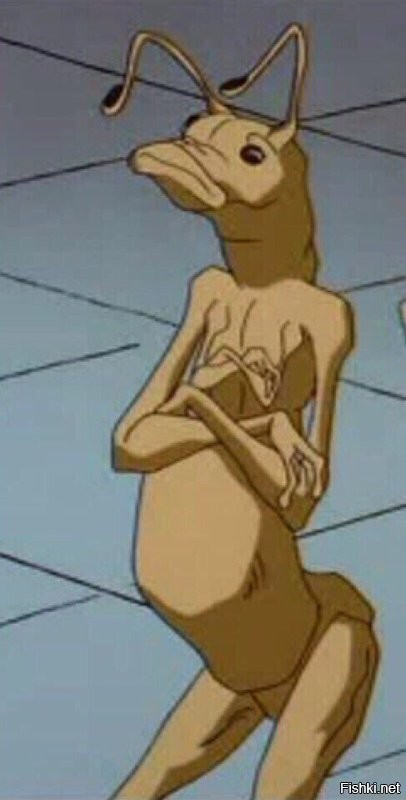 Солянка от 31.10.2025