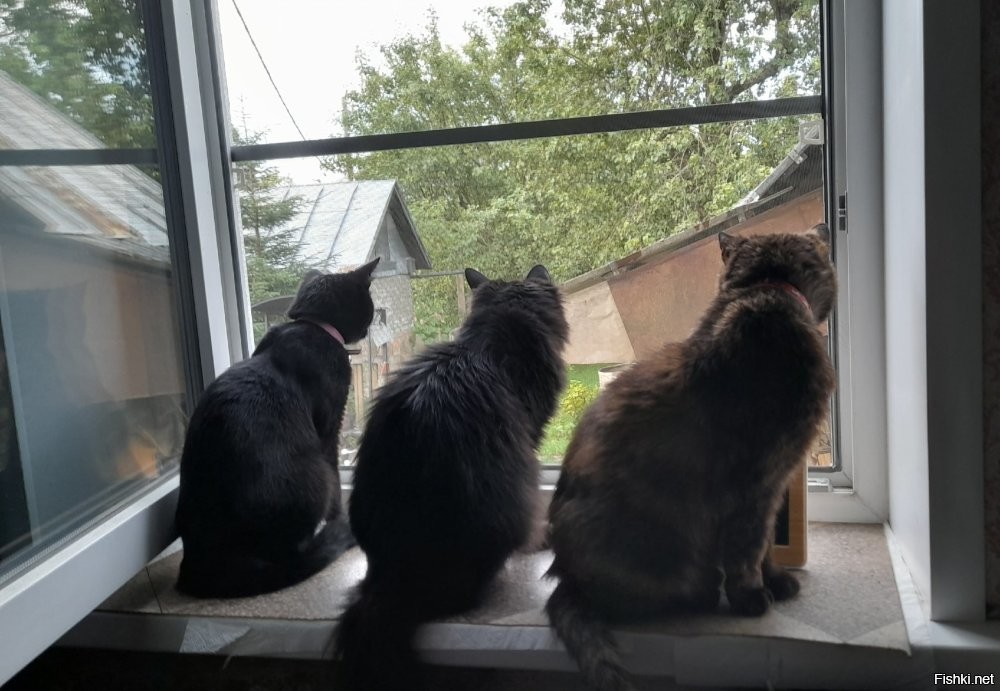 Ух! Разбогатею!!!