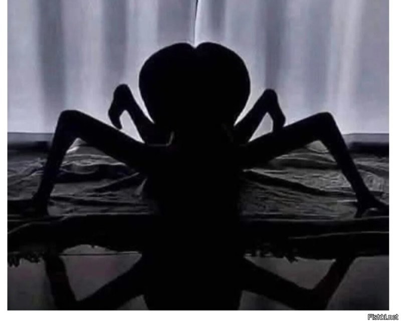 Мужчина научил своего робота ползать в стиле монстров из ужастиков