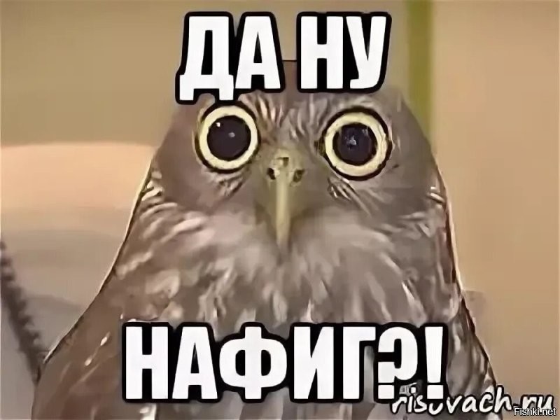 В правительстве РФ не ждут подорожания автомобилей после изменения утильсбора