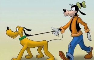 Робопес выгуливает обычную собаку