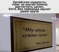 "Я не знаю зачем идя накуй, чесать яйца."
