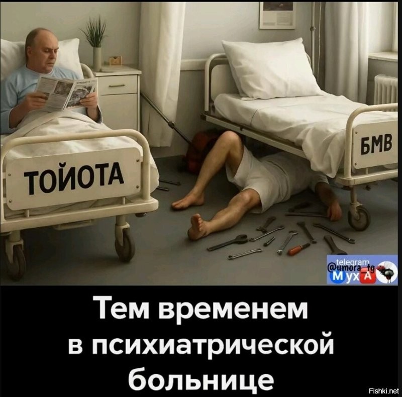 Солянка от 01.11.2025