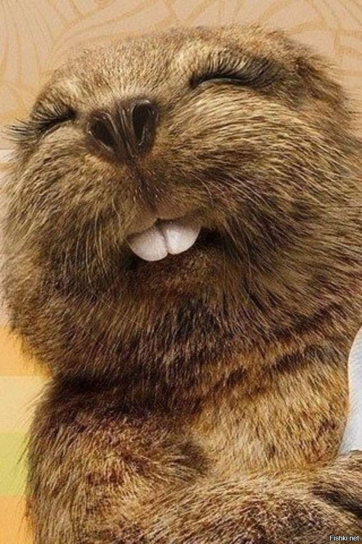 Солянка от 01.11.2025