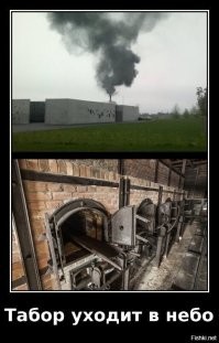 Силовики провели масштабный рейд в цыганском посёлке под Тулой