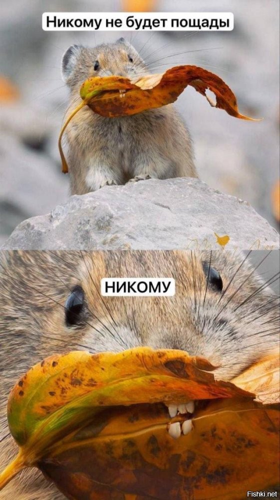 "Соответствует"