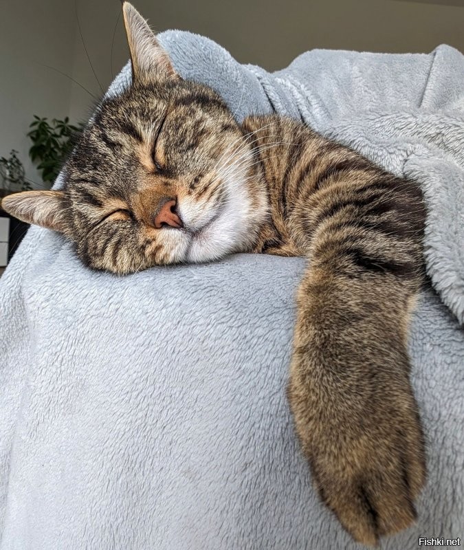 Доброе утро