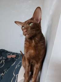 А какие эмоции на мордах иногда)))))) обожаю ...