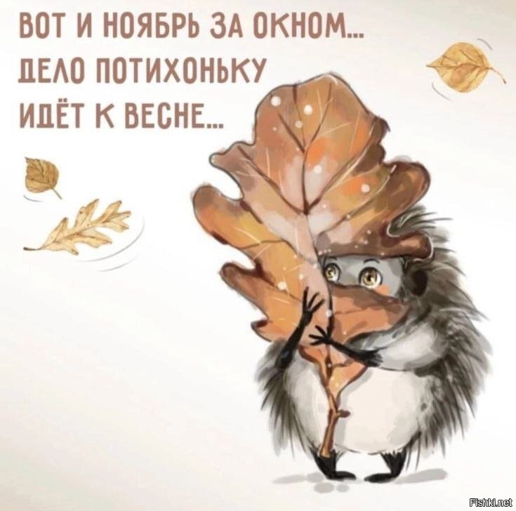 Солянка от 02.11.2025