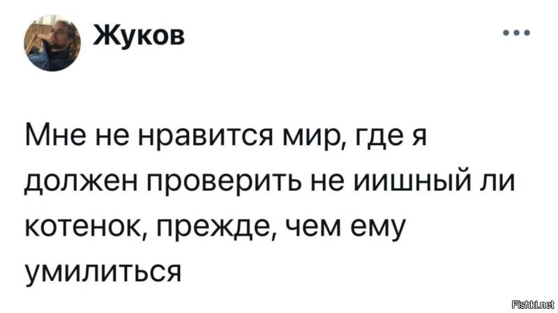 Солянка от 02.11.2025