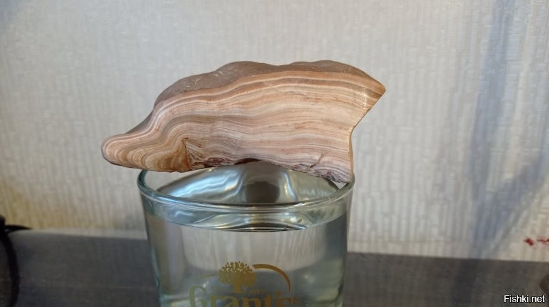 Солянка от 02.11.2025