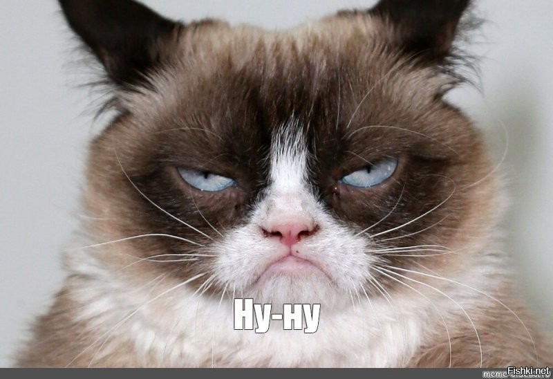 Русалки существуют — просто мы ищем не там