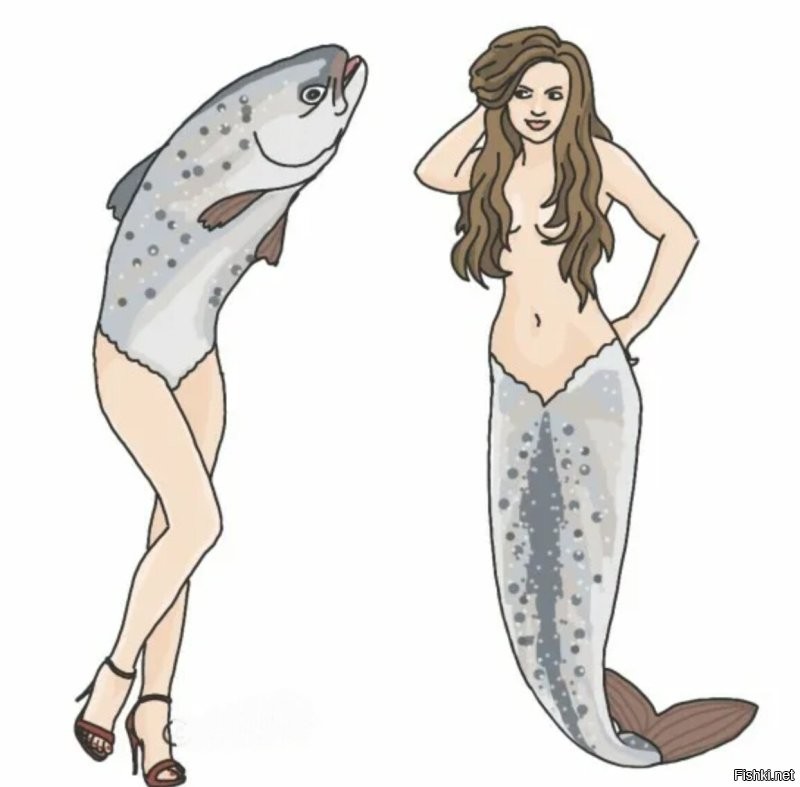 Какая была бы более полезнее?))