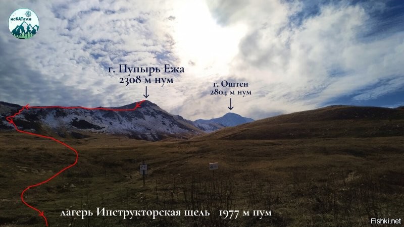 Солянка от 01.11.2025