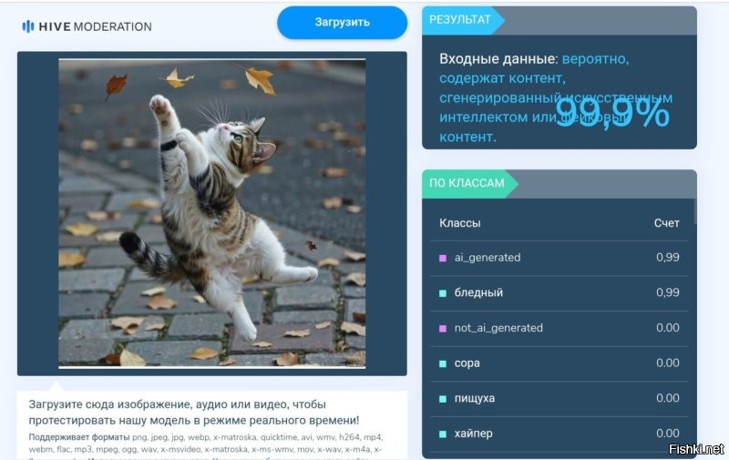 Солянка от 02.11.2025