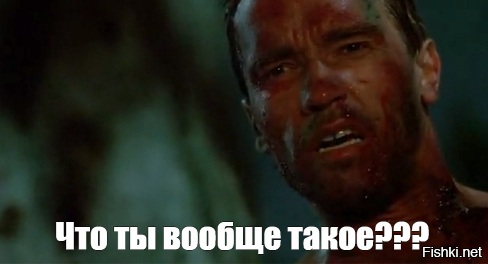 Спустя четыре года слоны снова увидели человека, который когда-то заботился о...