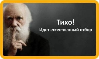 Опасный челлендж с Coca-Cola и Mentos довёл подростка до операции