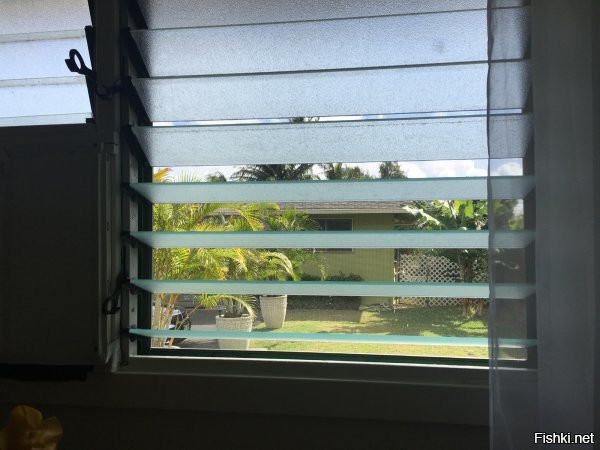 Окна без стекол - это прикольно. Отдыхали на Гавайях в доме без кондиционера - там на окнах глухие москитные сетки и вот такие стеклянные жалюзи на случай сильного ветра. Отпускные впечатления утраиваются.