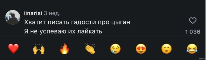 Силовики провели масштабный рейд в цыганском посёлке под Тулой