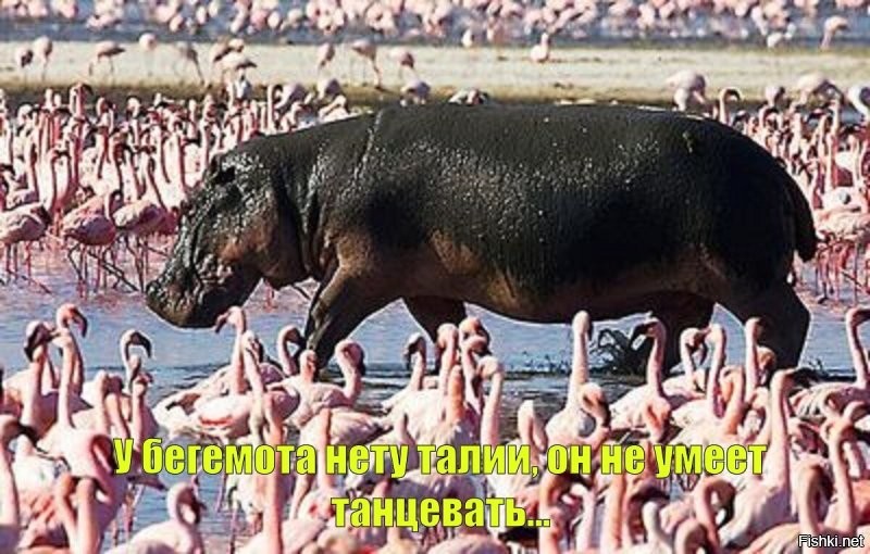 160-килограммовая модель недовольна, что бодипозитив выходит из моды