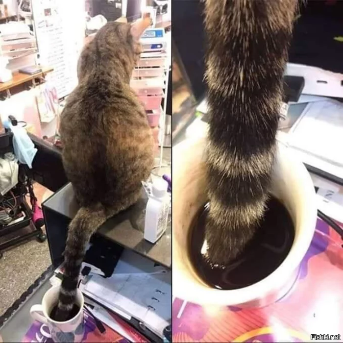 Холодный утренний кофе