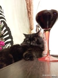 Официант! Я уже слишком долго жду сыр на закуску под вино!