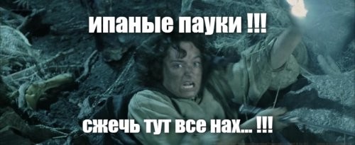 Паучий остров: километры паутины превратили эту землю в фильм ужасов