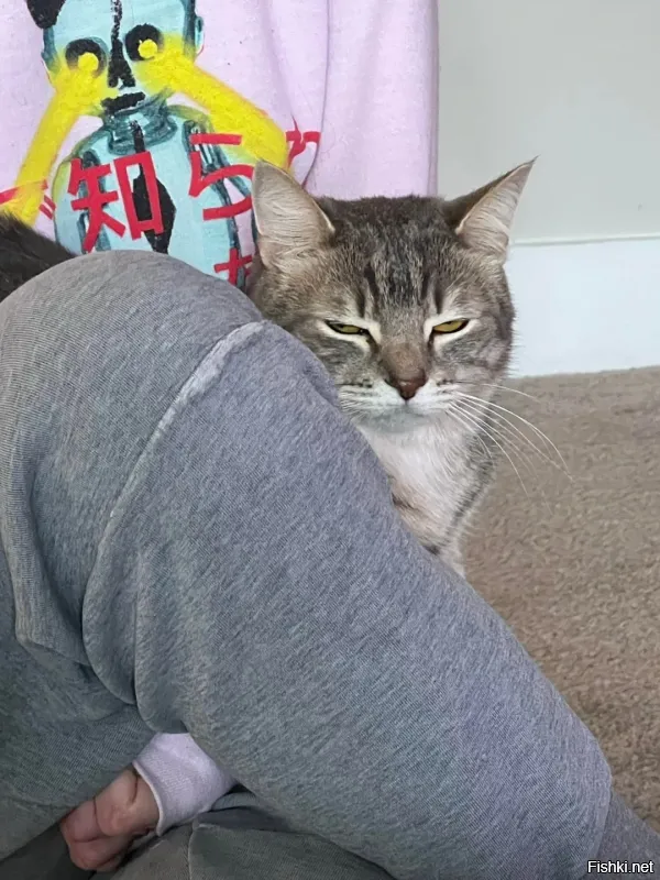 Ох уж эти надписи, а здесь какие планы на безобразия? Он спокоен как удав, и собирается спать