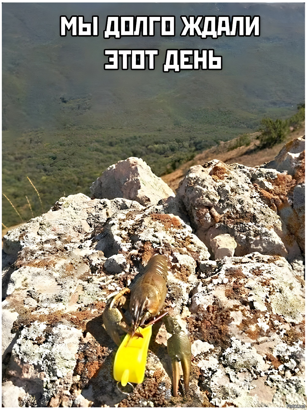 Солянка от 02.11.2025